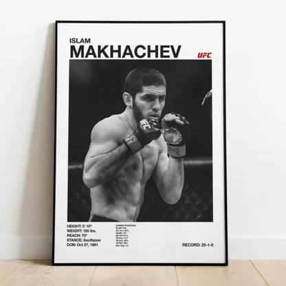 Posters de Luchadores