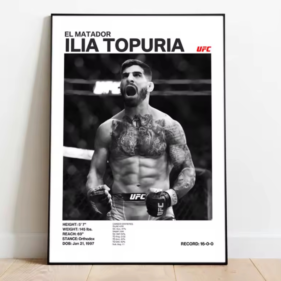 Posters de Luchadores