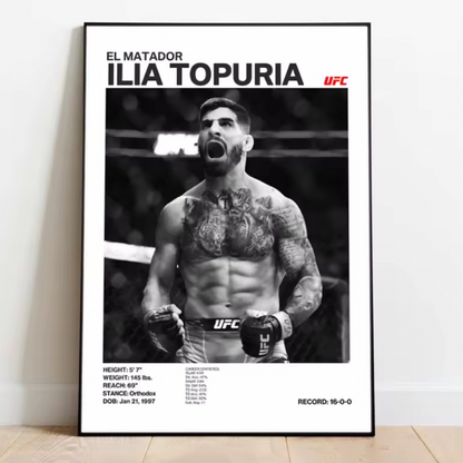 Posters de Luchadores